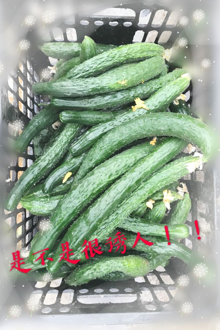 香港六和资料
