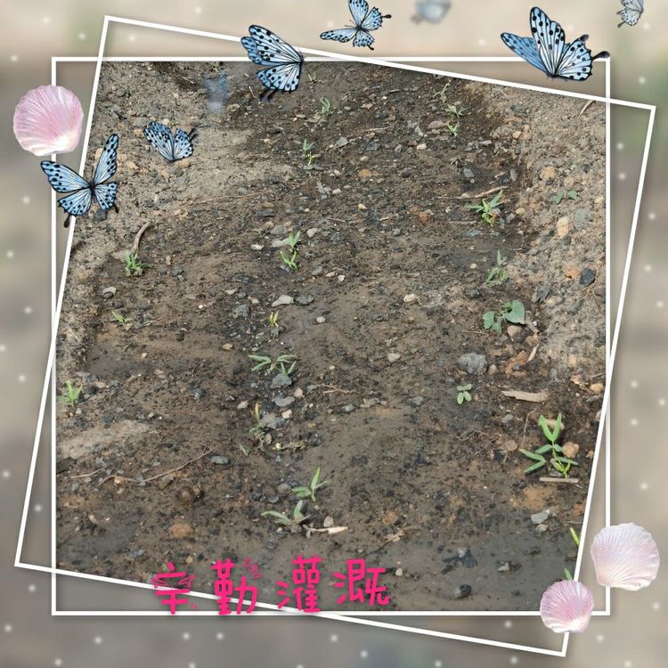 香港六和资料