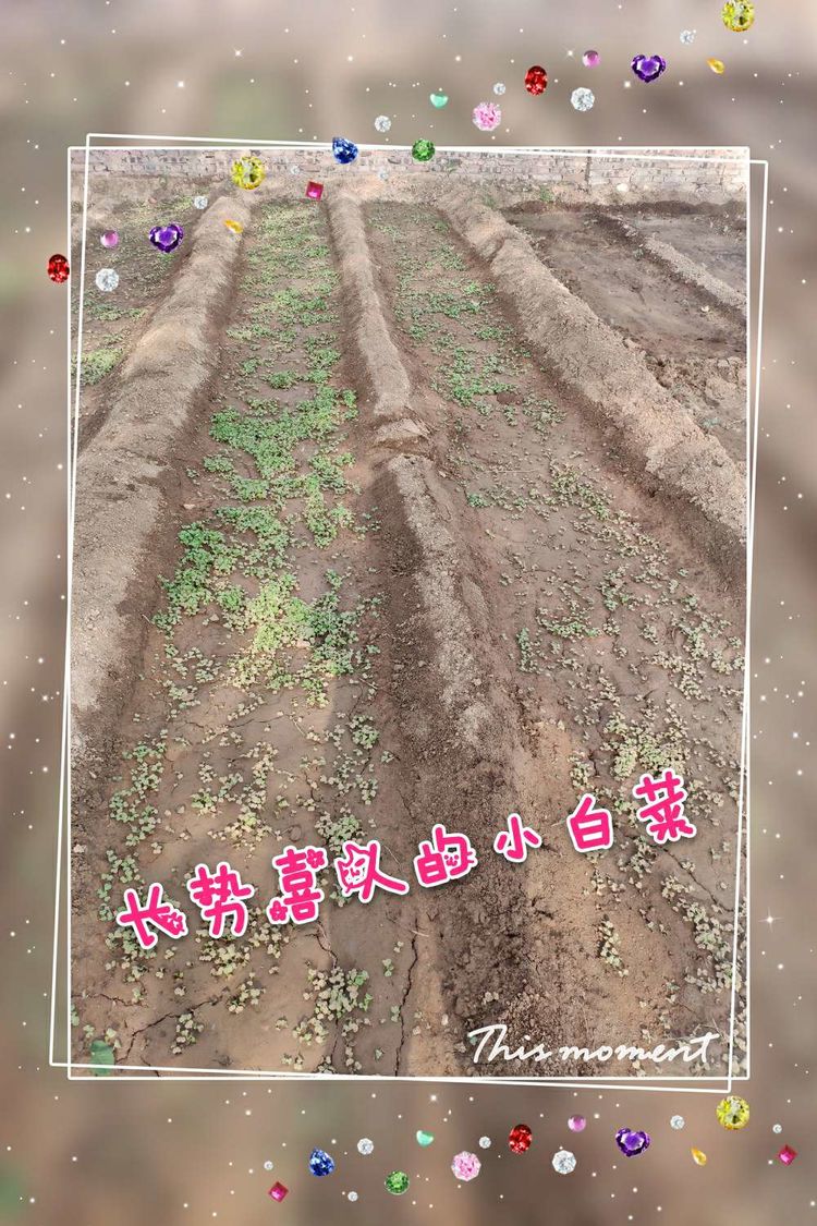 香港六和资料