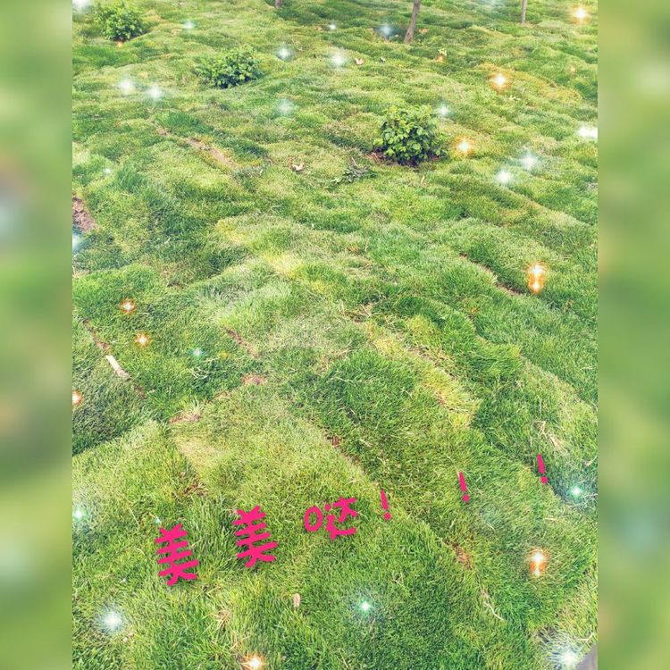 香港六和资料