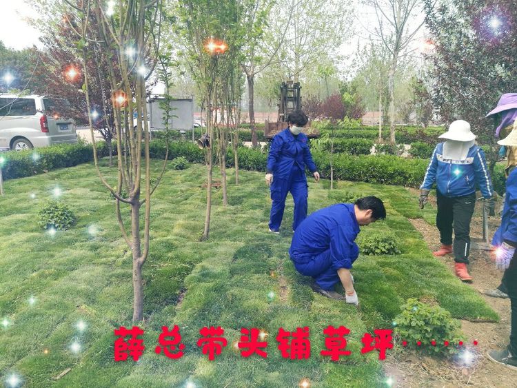 香港六和资料