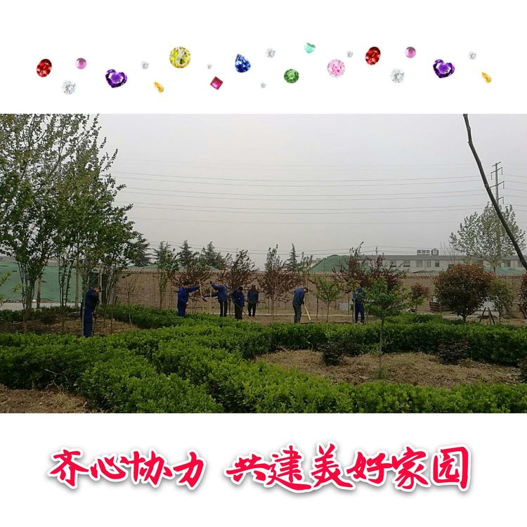 香港六和资料