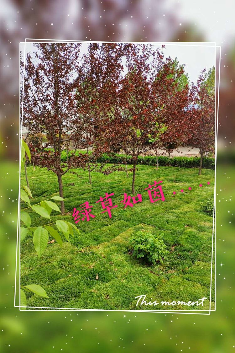 香港六和资料