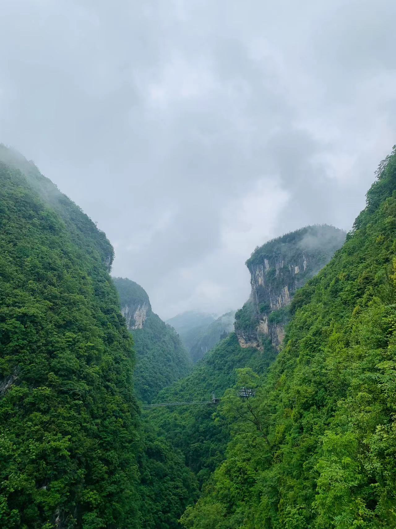 香港六和资料