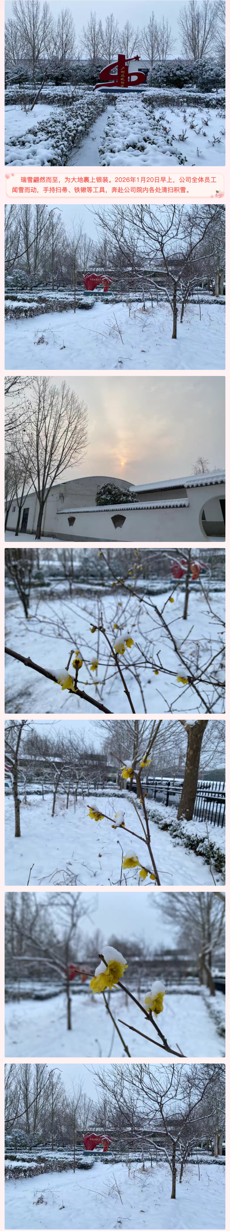 2026-01-22_110429_02