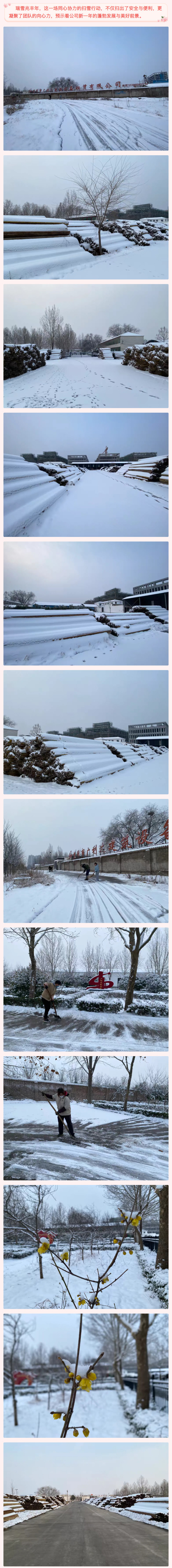 2026-01-22_110429_06